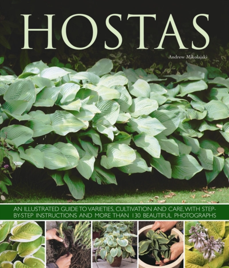 Hostas : An Illustrated Guide To Varieties, Cultivation And Care, With Step-By-Step Instructions And/Product Detail/Gardening