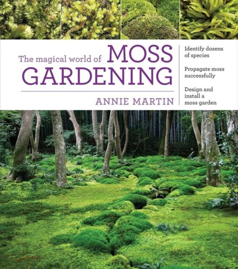 The Magical World Of Moss Gardening/Product Detail/Gardening
