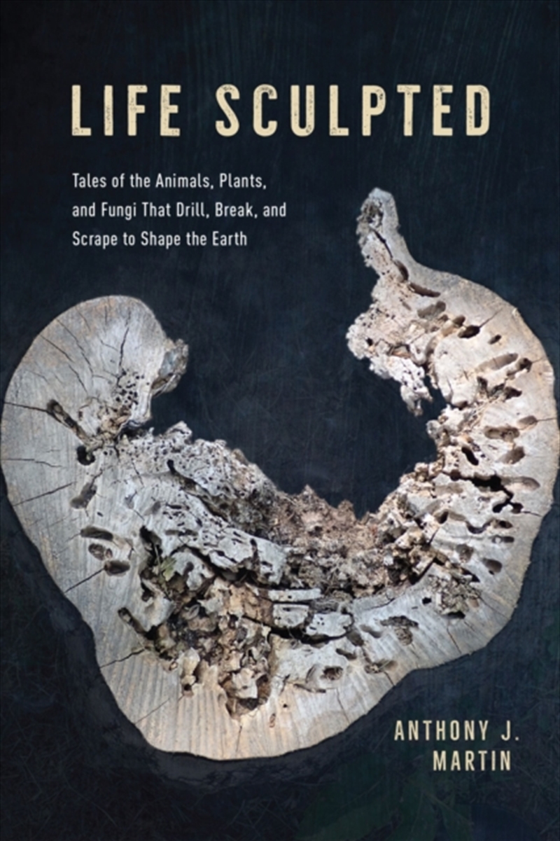 Life Sculpted : Tales Of The Animals, Plants, And Fungi That Drill, Break, And Scrape To Shape The E/Product Detail/Animals & Nature