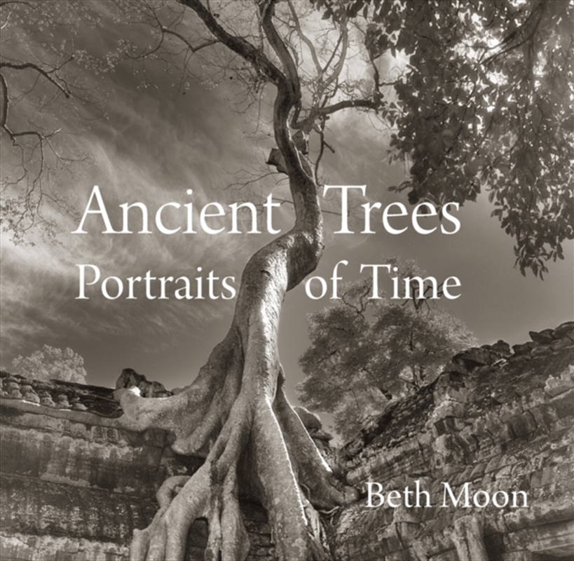 Ancient Trees : Portraits Of Time/Product Detail/Photography