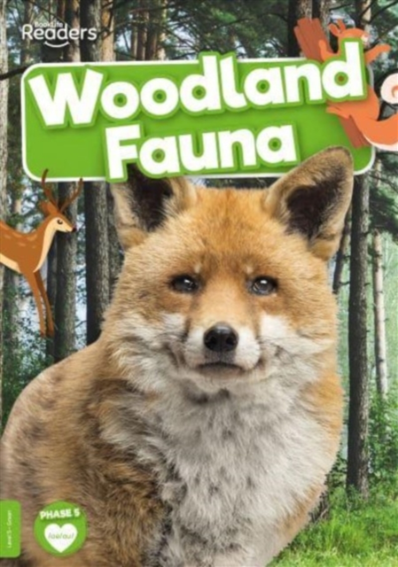 Woodland Fauna/Product Detail/Kids Educational