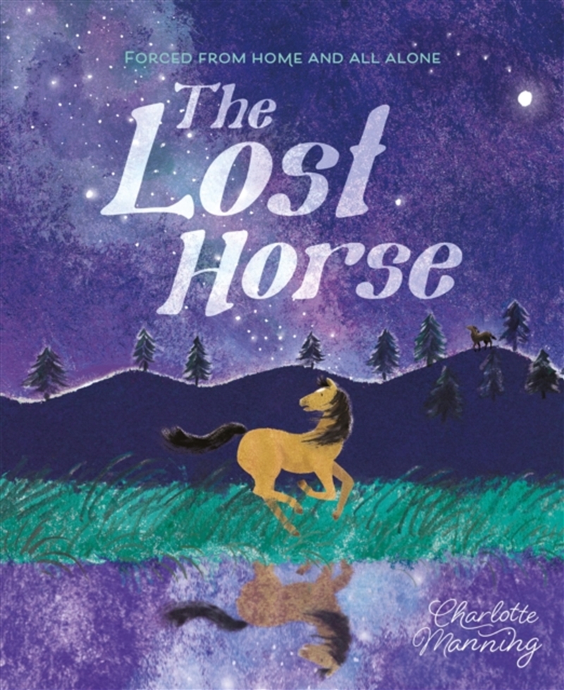 The Lost Horse : Forced From Home And All Alone/Product Detail/Early Childhood Fiction Books