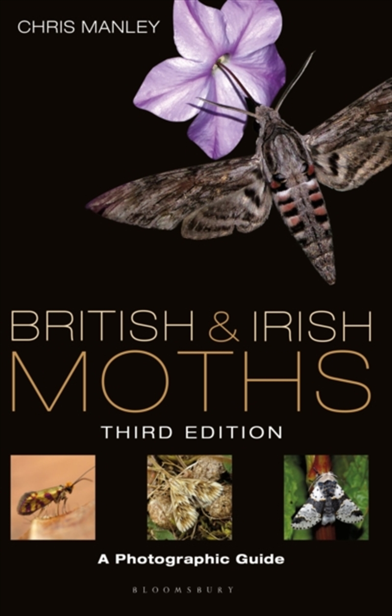 British And Irish Moths: Third Edition : A Photographic Guide/Product Detail/Animals & Nature