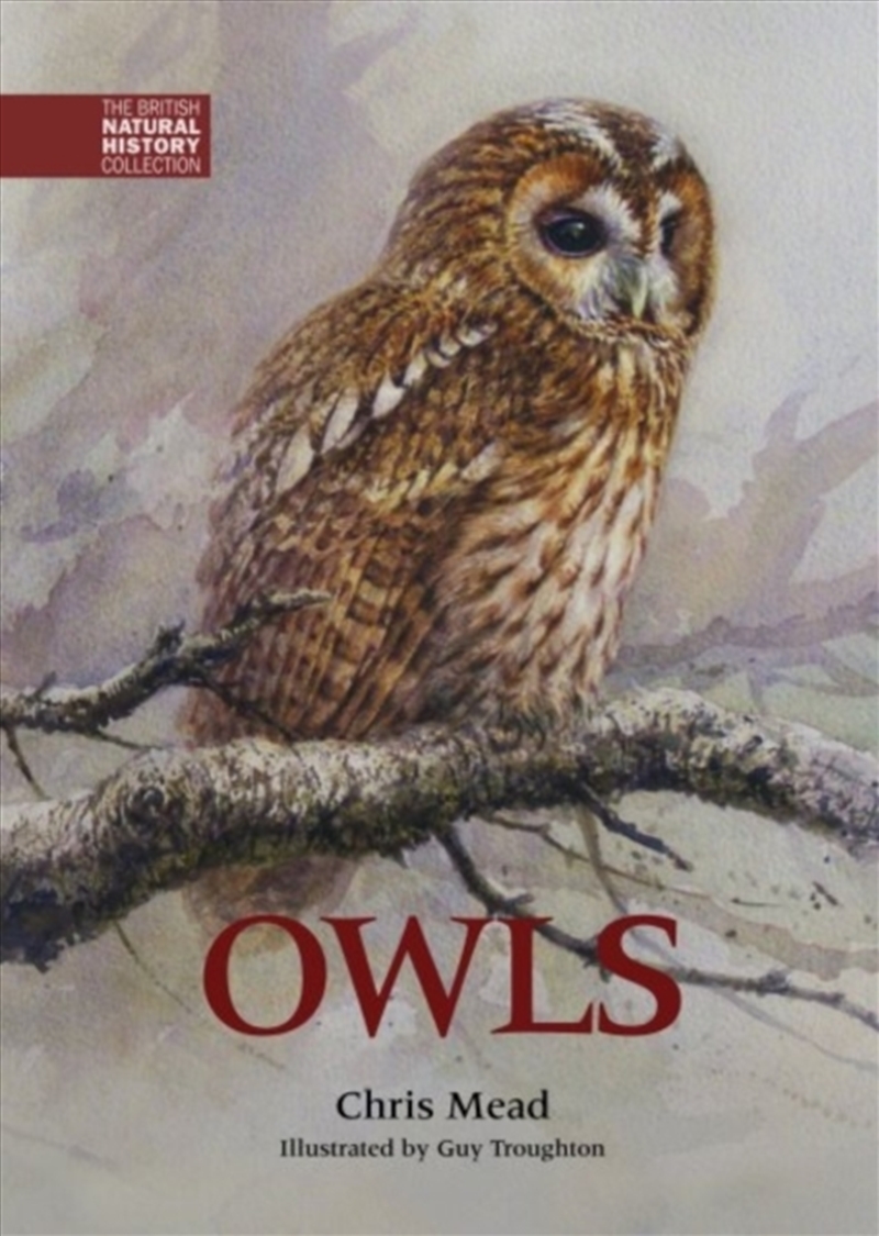Owls/Product Detail/Animals & Nature