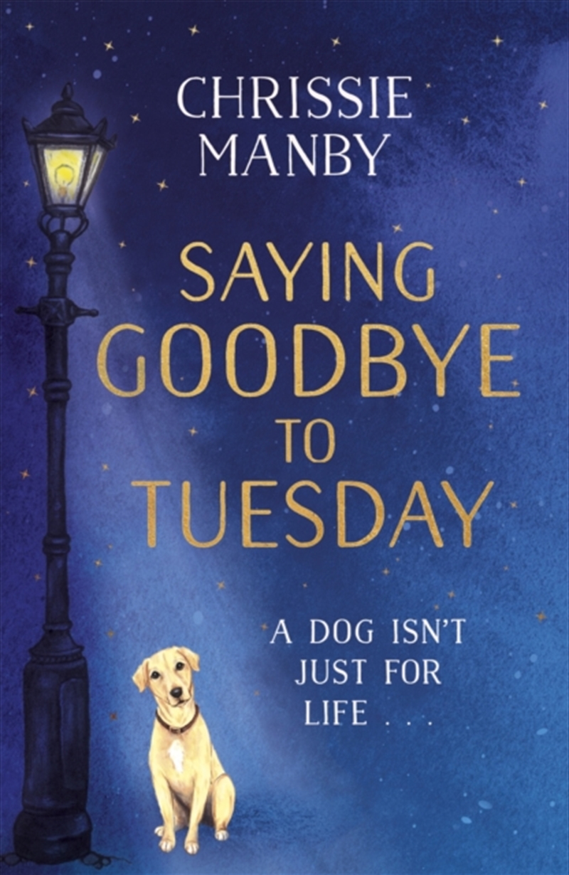 Saying Goodbye To Tuesday/Product Detail/General Fiction Books