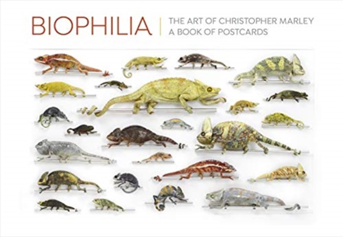 Biophilia The Art Of Christopher Marley/Product Detail/Stationery