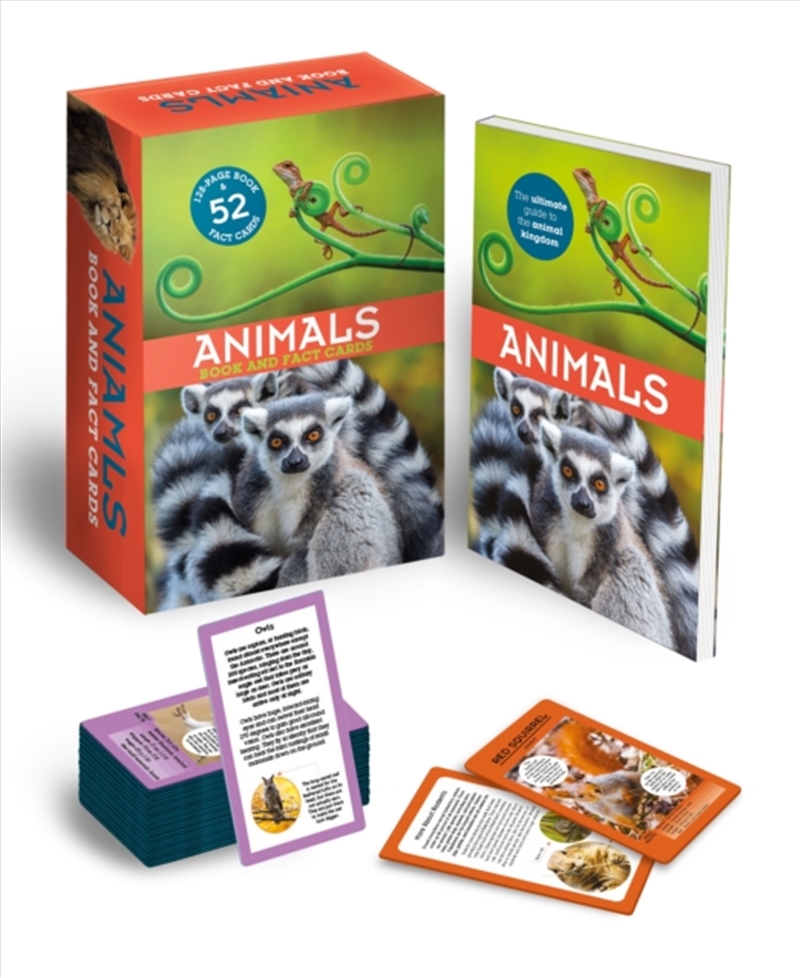 Animals: Book And Fact Cards/Product Detail/Kids Educational