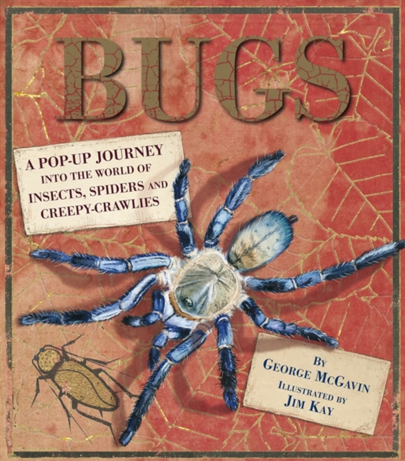 Bugs/Product Detail/Childrens