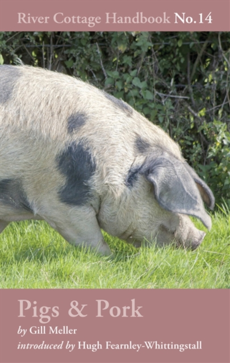Pigs & Pork : River Cottage Handbook No.14/Product Detail/Recipes, Food & Drink