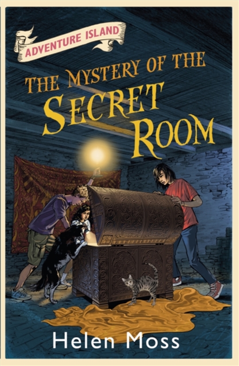 Adventure Island: The Mystery Of The Secret Room : Book 13/Product Detail/Childrens Fiction Books