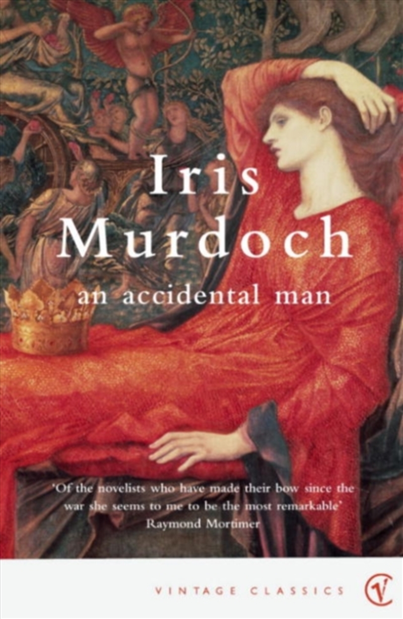 An Accidental Man/Product Detail/General Fiction Books
