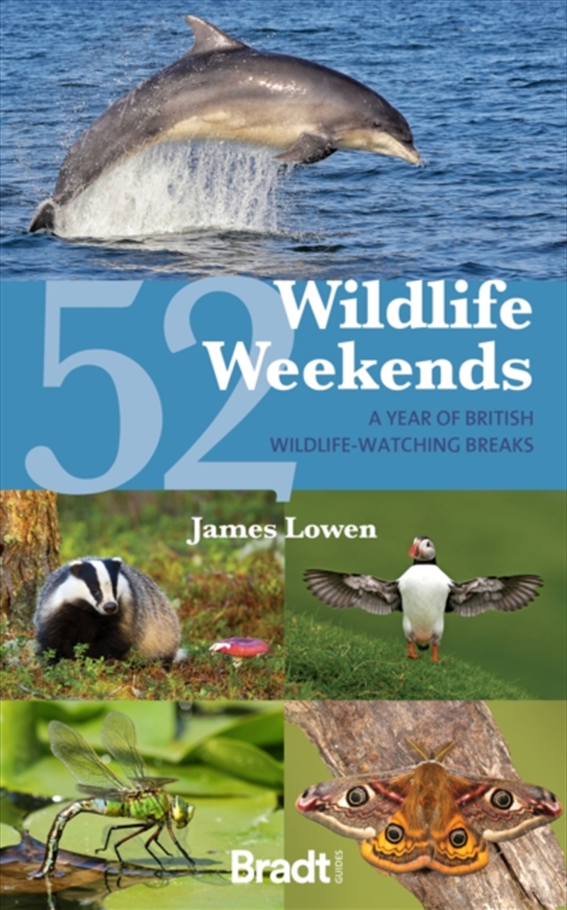 52 Wildlife Weekends : A Year Of British Wildlife-Watching Breaks/Product Detail/Travel & Holidays