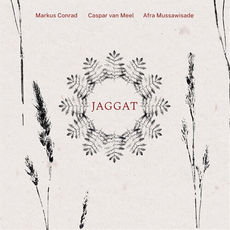 Jaggat/Product Detail/Jazz