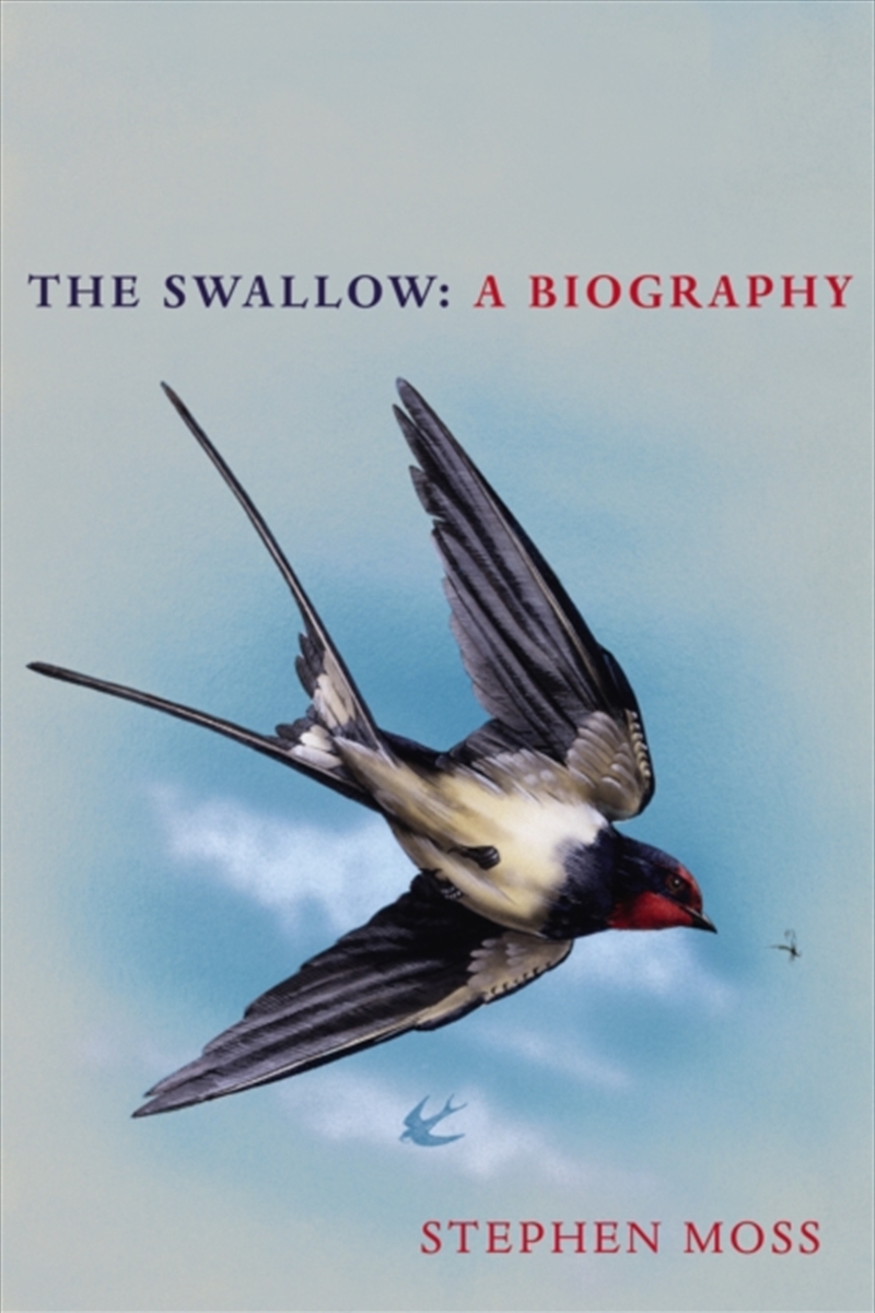The Swallow/Product Detail/Animals & Nature