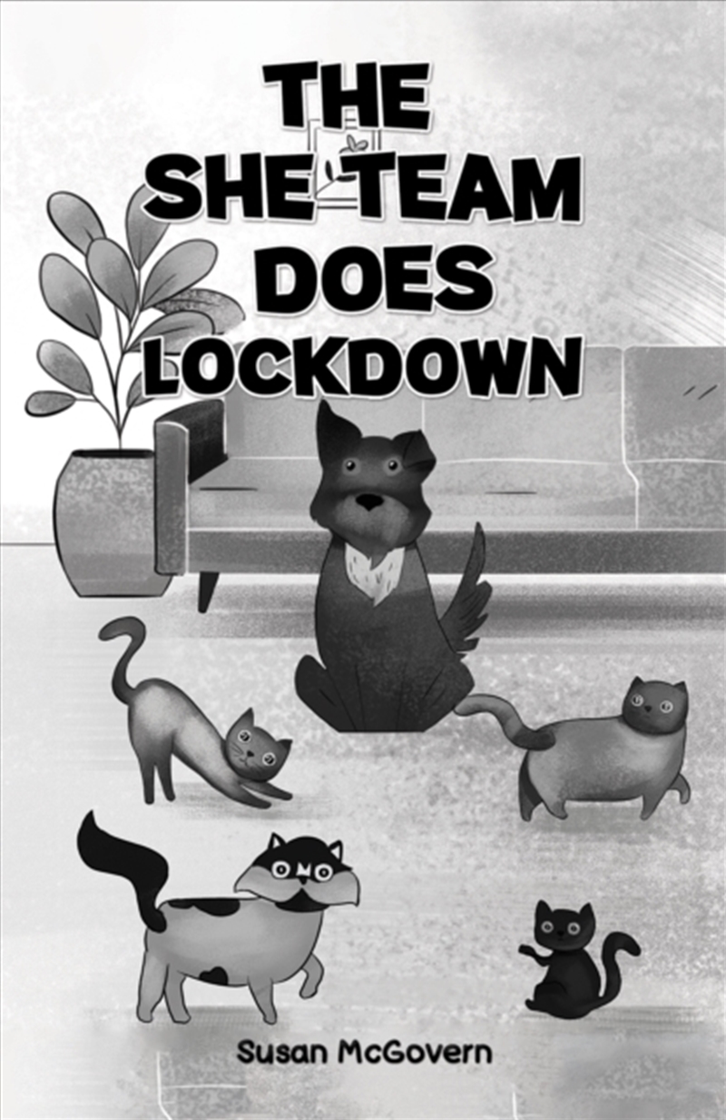 The She Team Does Lockdown/Product Detail/Childrens Fiction Books