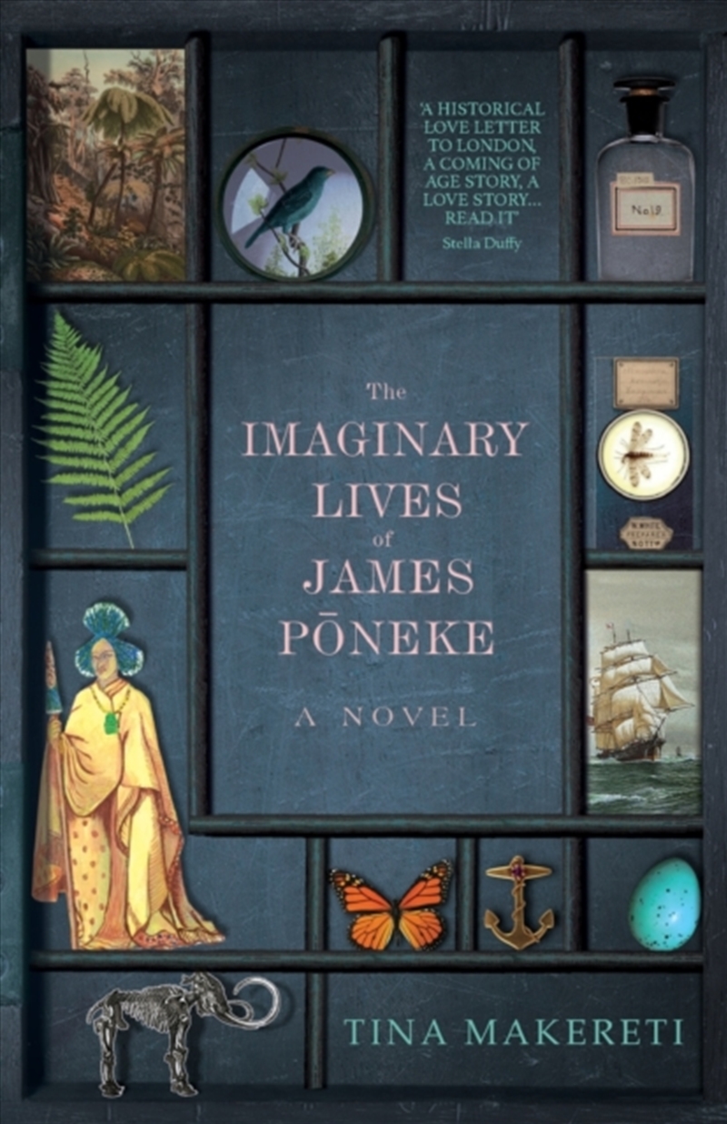 The Imaginary Lives Of James Poneke/Product Detail/Historical Fiction