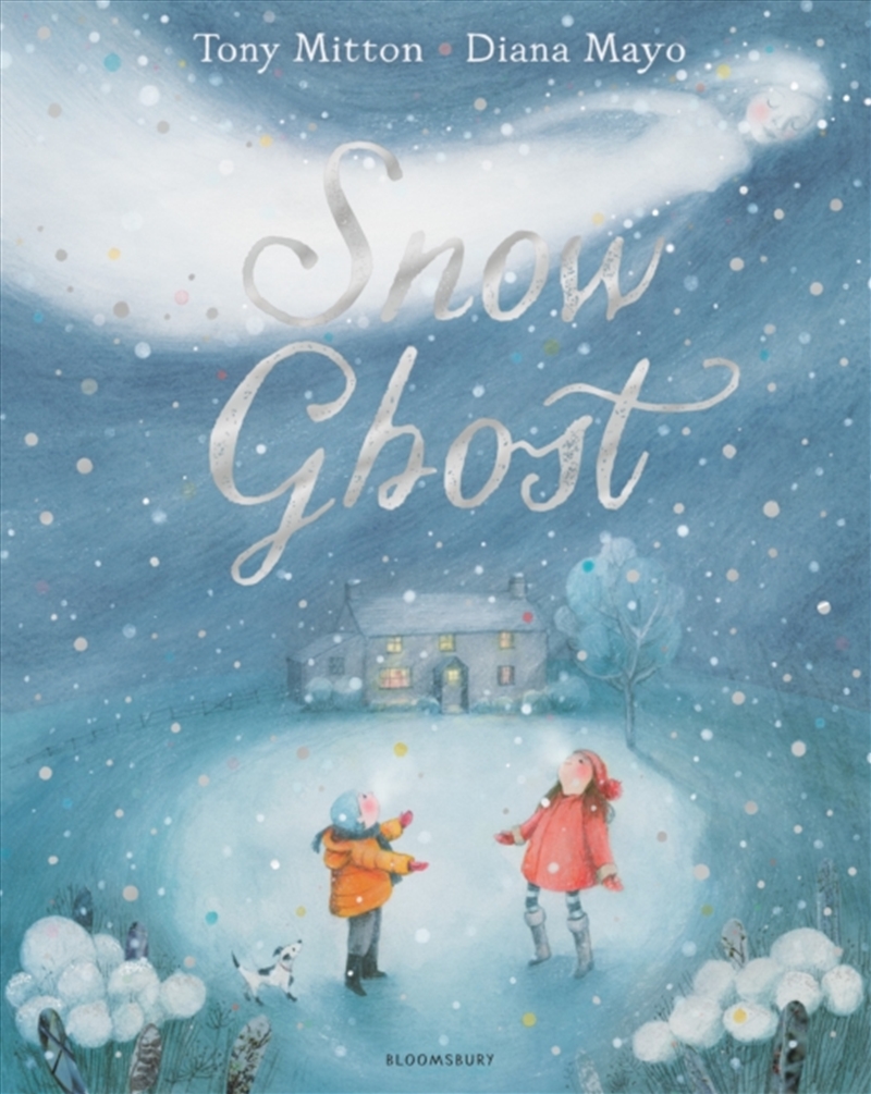 Snow Ghost : The Most Heartwarming Picture Book Of The Year/Product Detail/Early Childhood Fiction Books