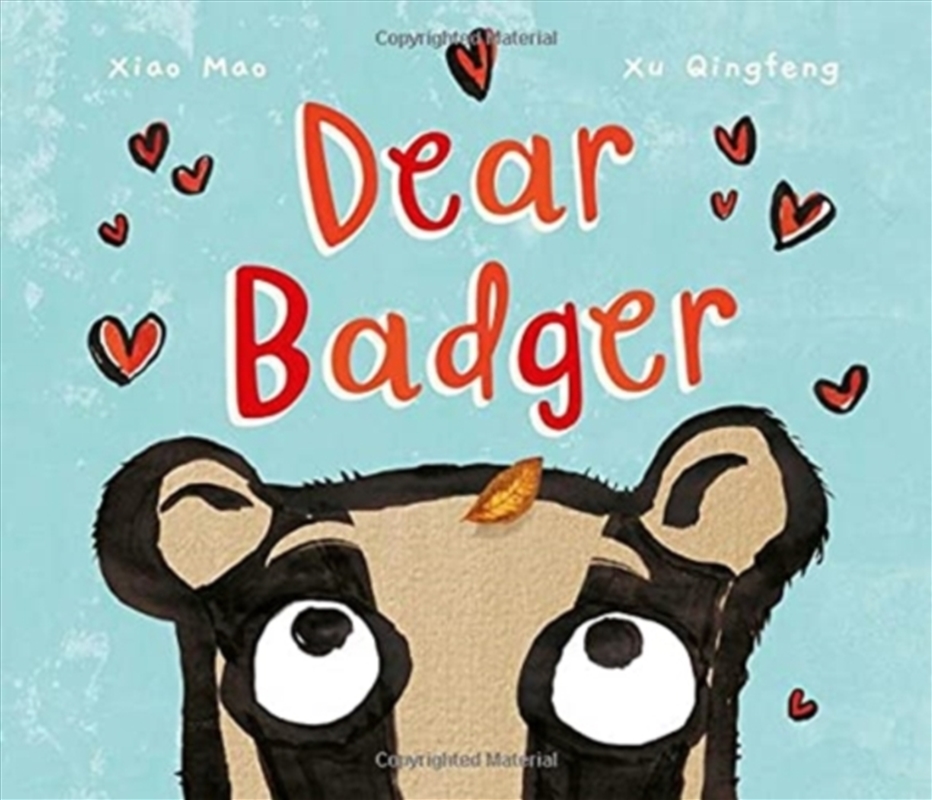 Dear Badger/Product Detail/Early Childhood Fiction Books