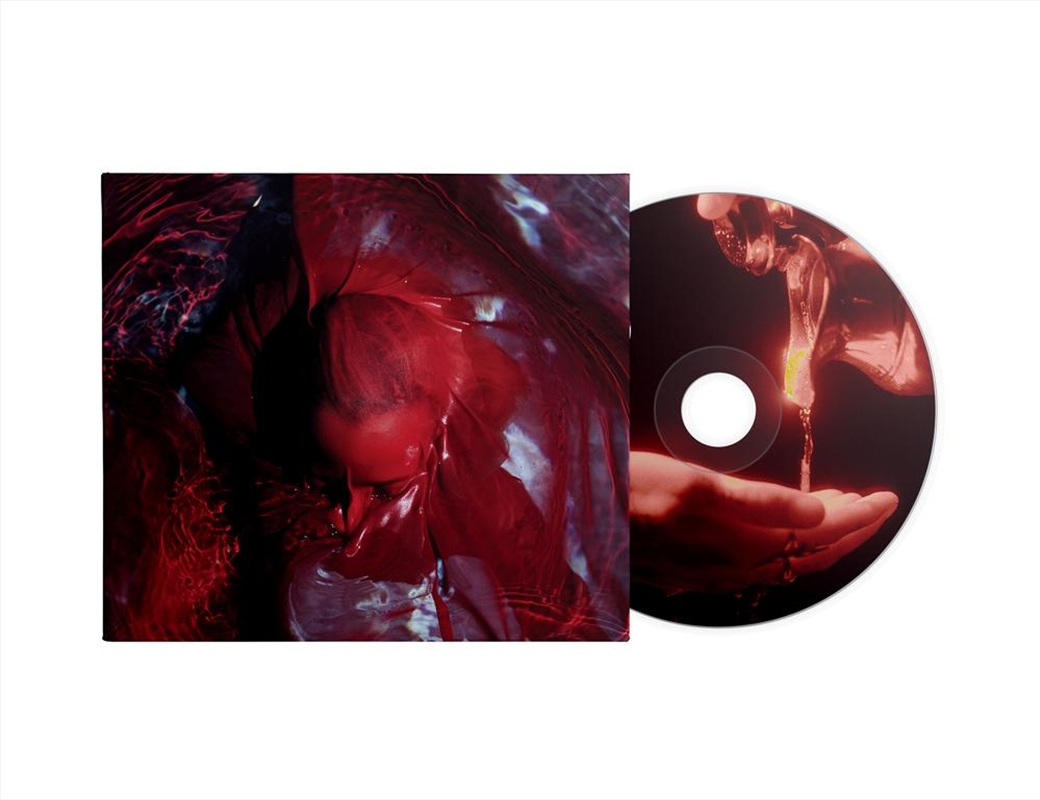 Not Here Not Gone/Product Detail/Alternative