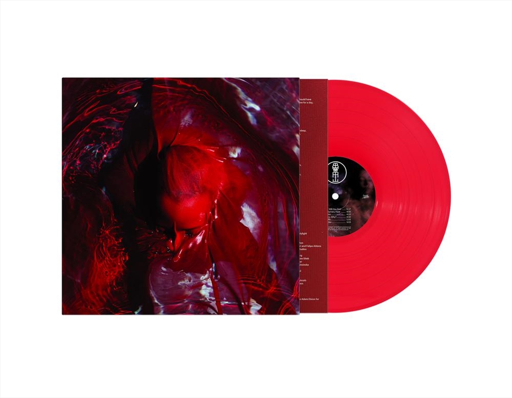 Not Here Not Gone - Transparent Red Vinyl/Product Detail/Alternative