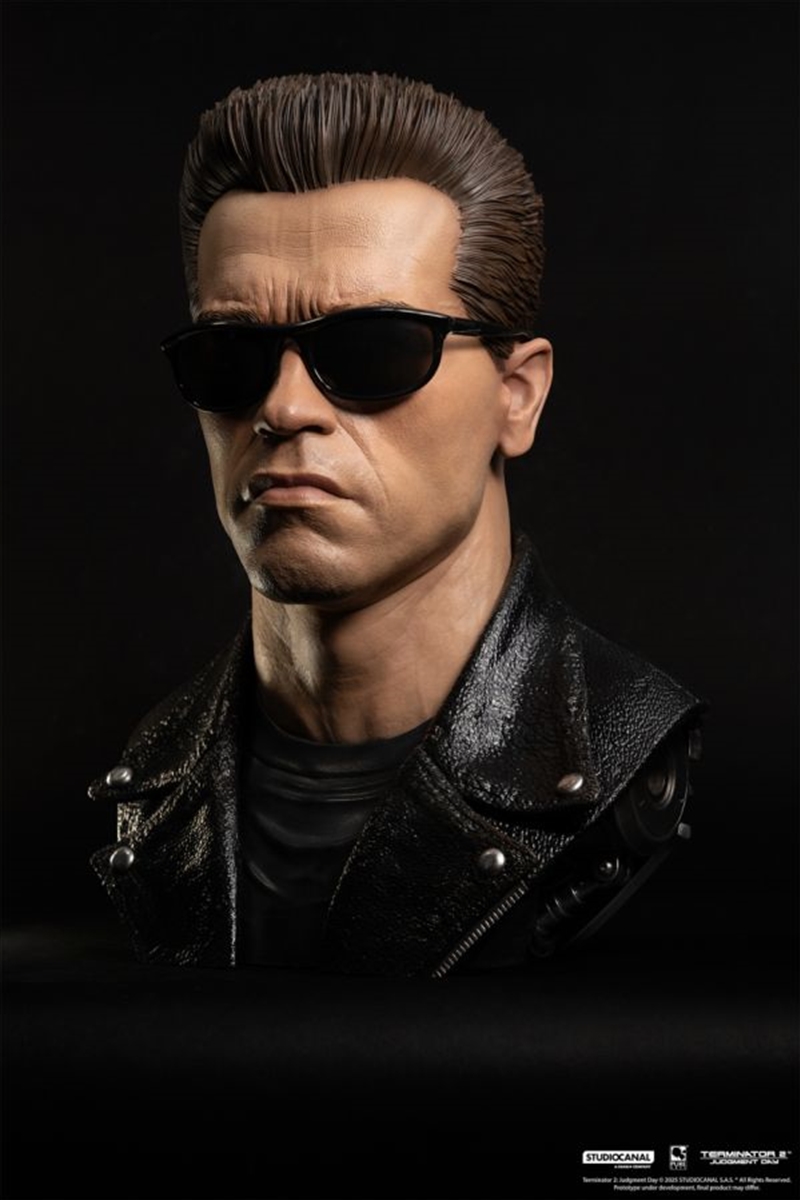Terminator 2 : Judgement Day - T-800 Model 101 1:1 Scale Art Mask/Product Detail/Collectables