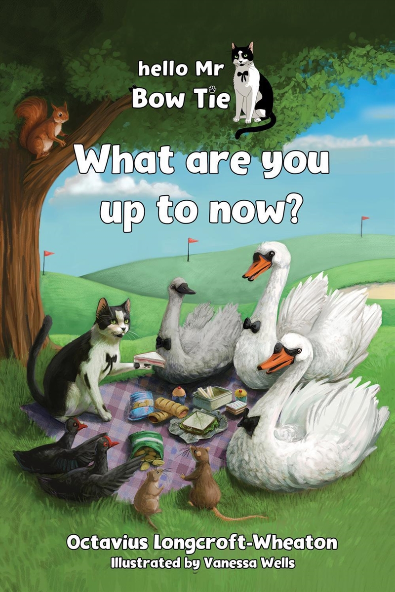 Hello Mr Bow Tie What Are You Up To Now?/Product Detail/Childrens Fiction Books