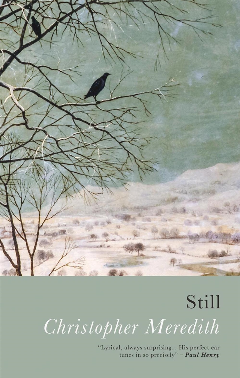 Still/Product Detail/Poetry