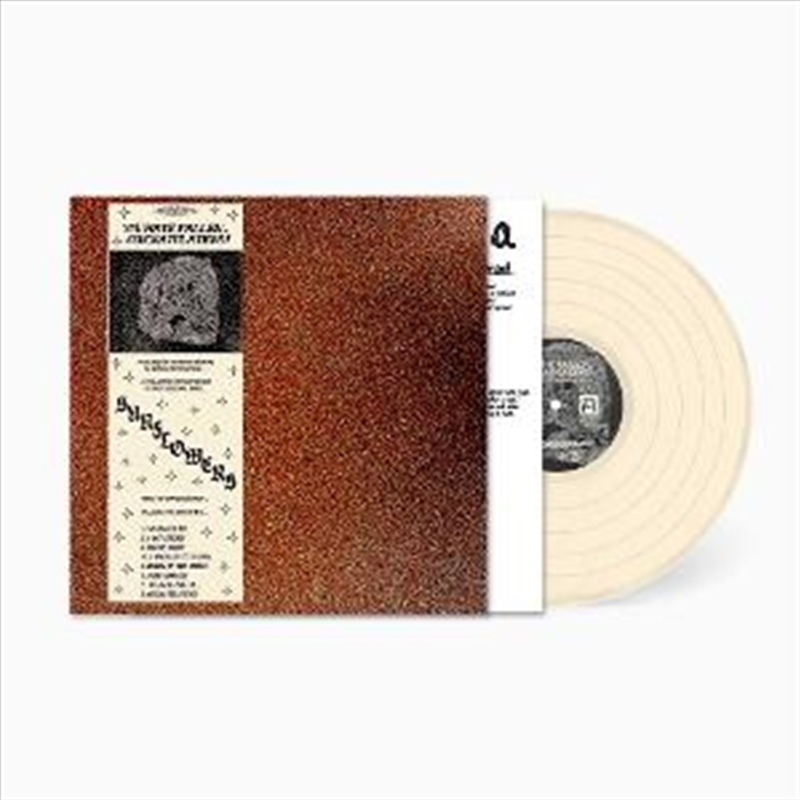 You Have Fallen Congratulations/Product Detail/Rock/Pop