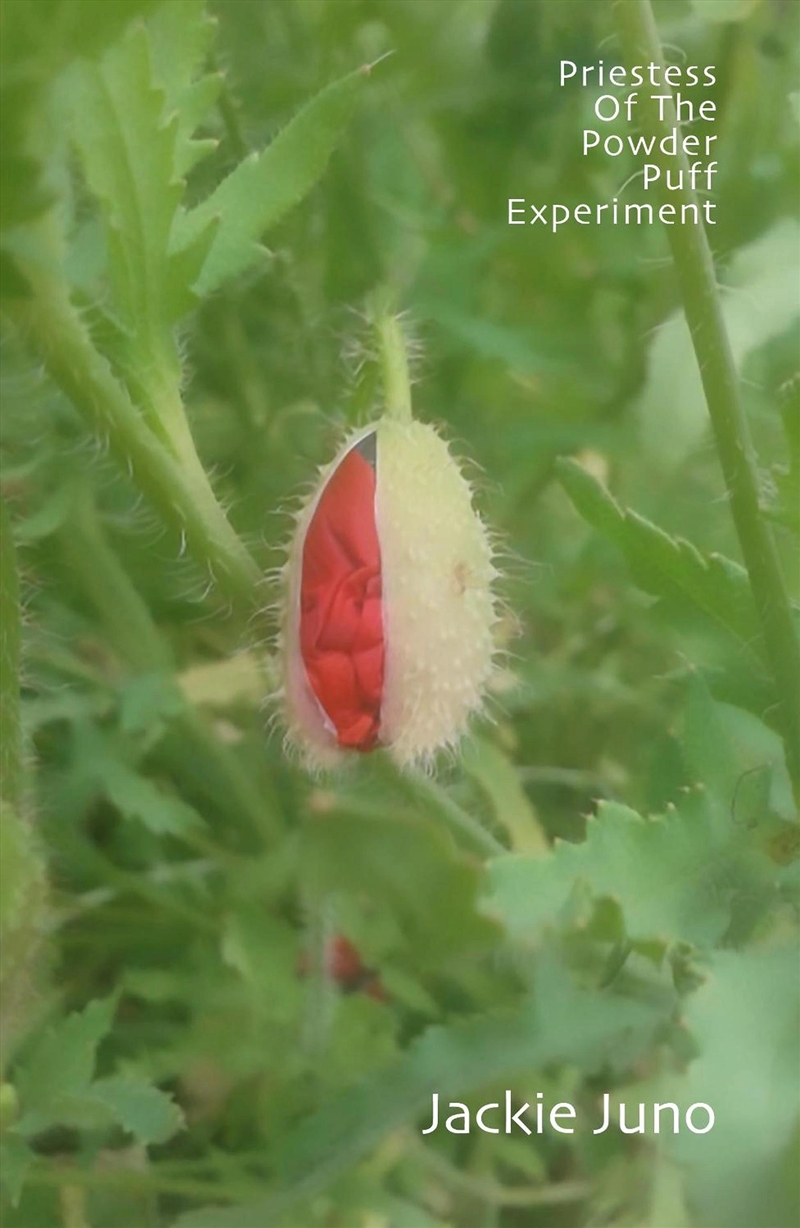 Priestess Of The Powder Puff Experiment/Product Detail/Poetry