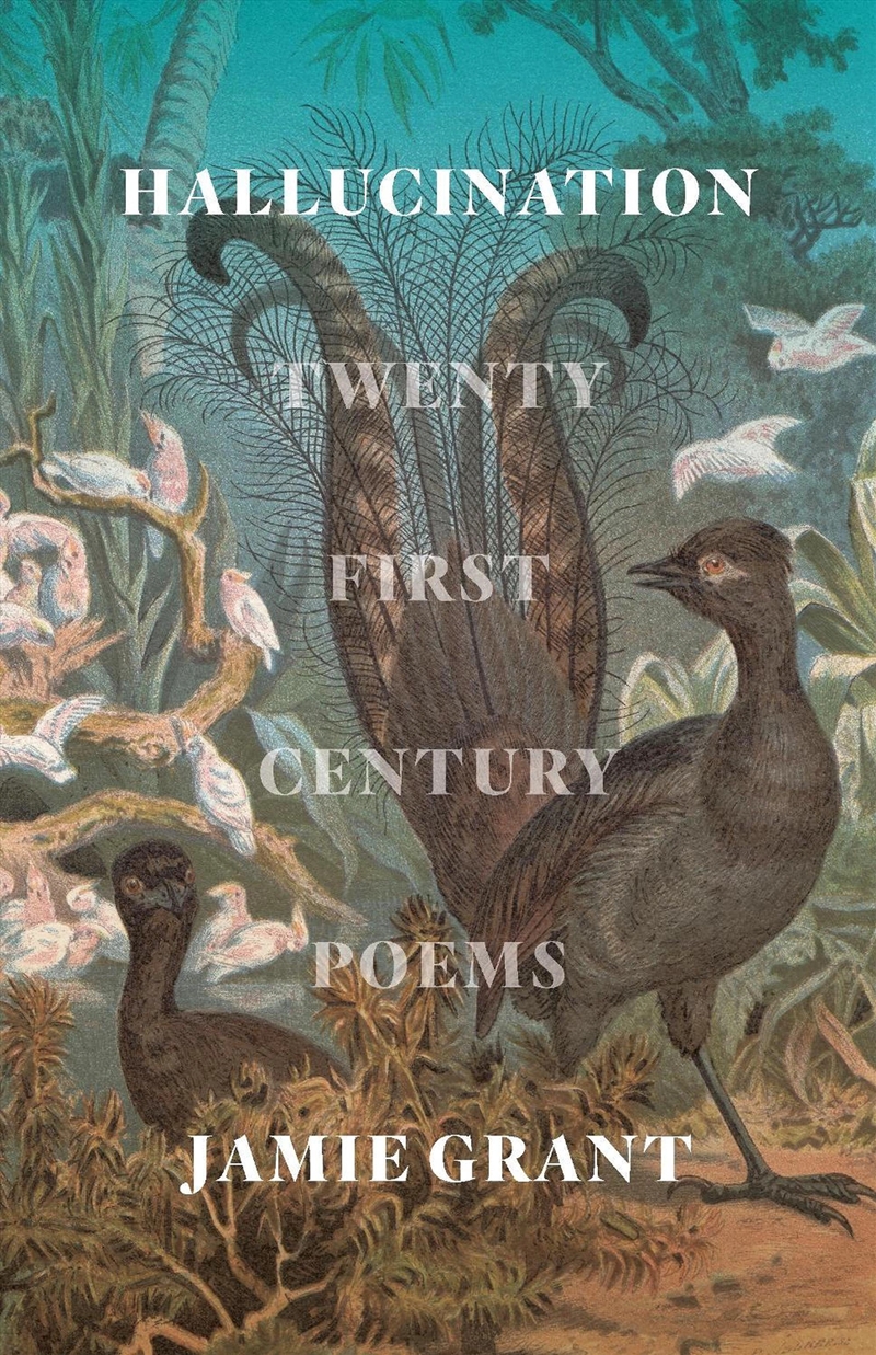 Hallucination/Product Detail/Poetry