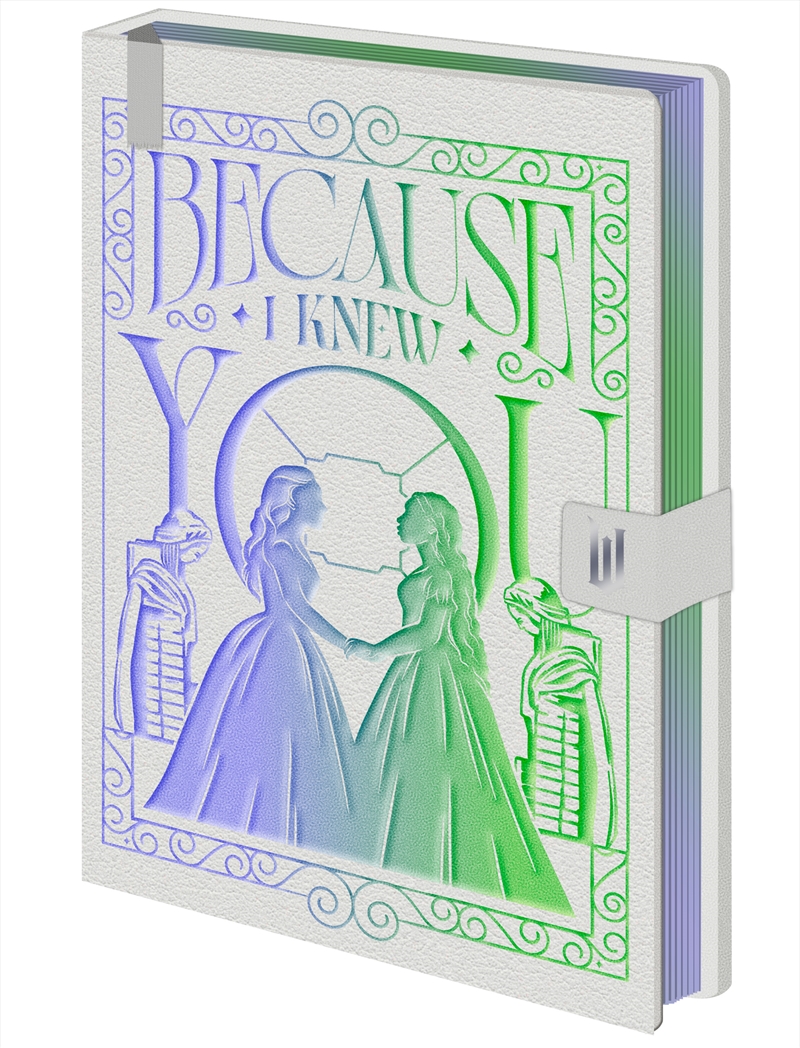 Wicked 2 - Because I Knew - Premium Notebook/Product Detail/Notebooks & Journals