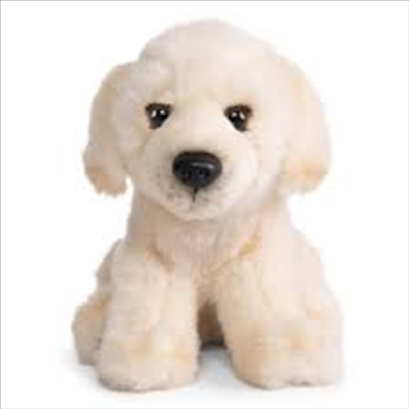 Living Nature - Golden Labrador Puppy (15cm)/Product Detail/Plush Toys