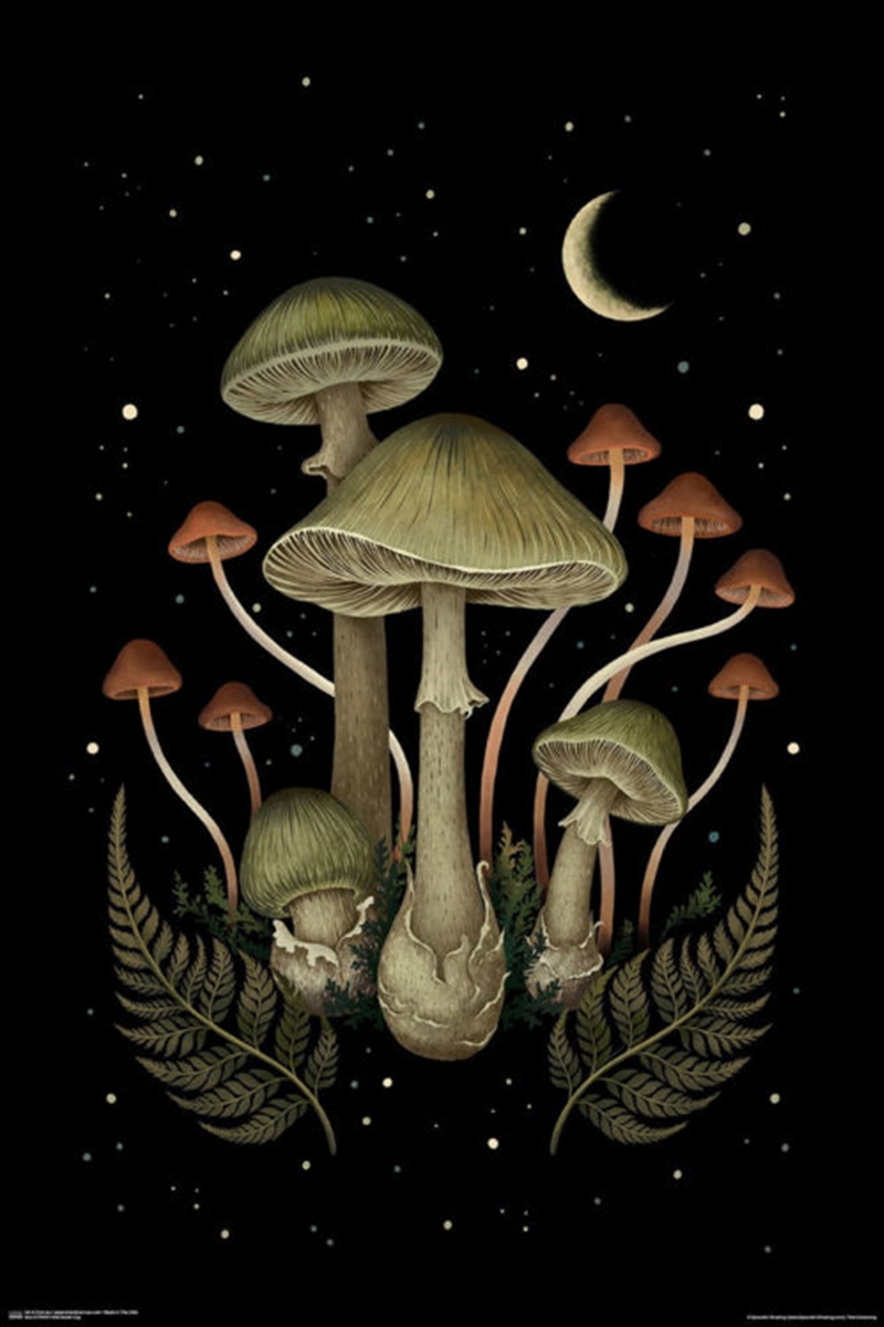 Death Cap Mushrooms/Product Detail/Posters & Prints