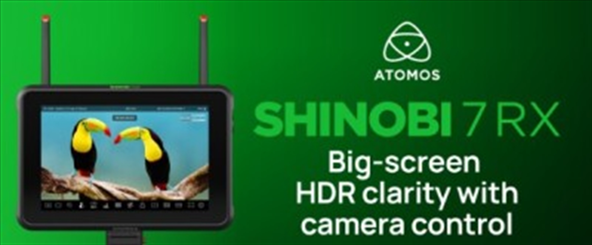 Atomos Shinobi 7 RX - ROW/Product Detail/Electronics