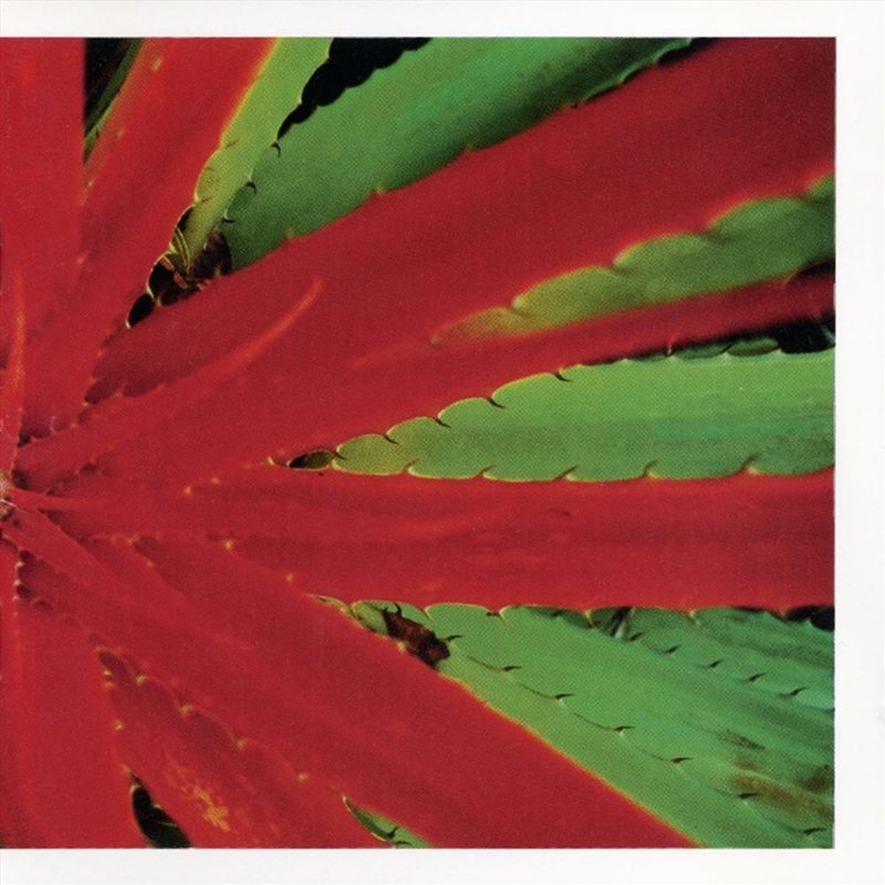 This Afternoons Malady/Product Detail/Alternative