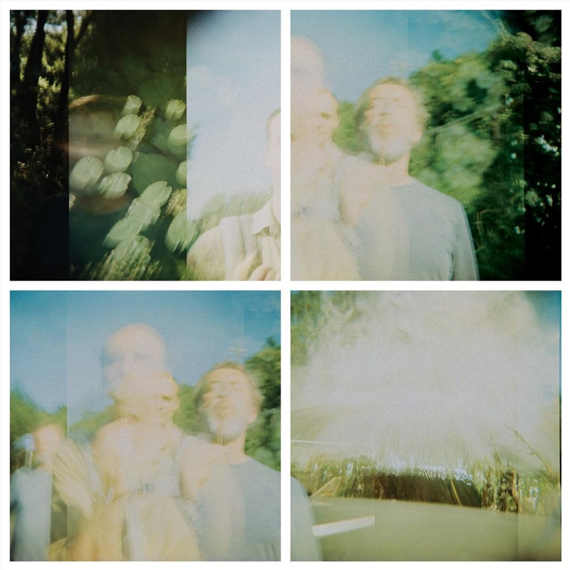 Persian Carpets/Product Detail/Alternative