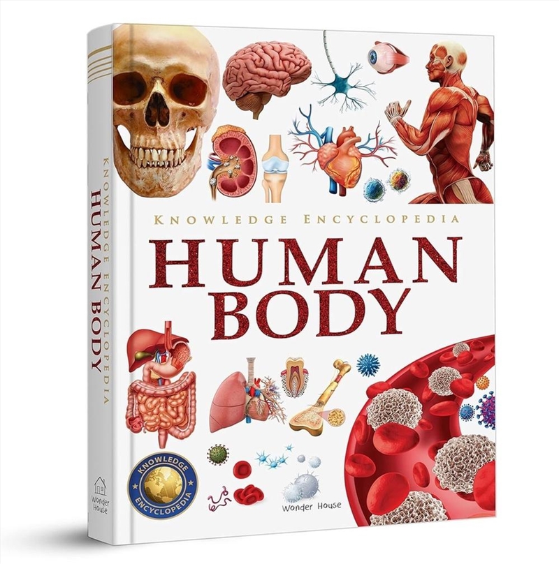 Knowledge Encyclopedia Human Body : Deluxe Edition/Product Detail/Reference & Encylopaedias