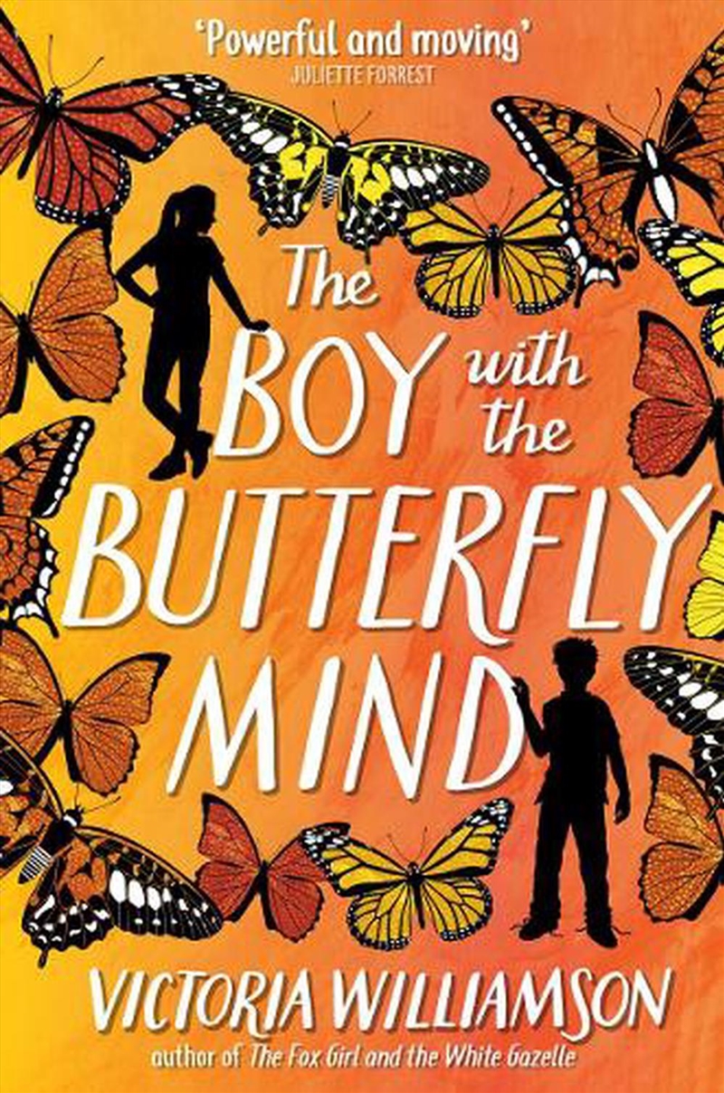 The Boy with the Butterfly Mind/Product Detail/Childrens Fiction Books