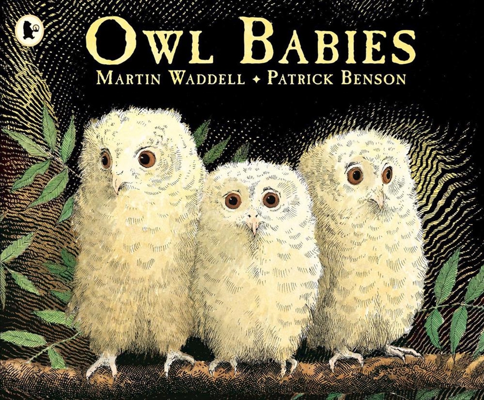 Owl Babies/Product Detail/Early Childhood Fiction Books