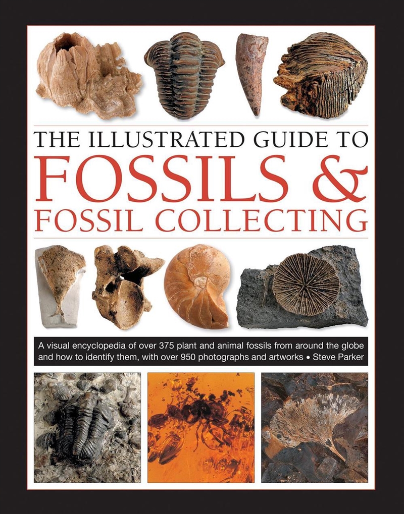 Fossils & Fossil Collecting, The Illustrated Guide/Product Detail/History