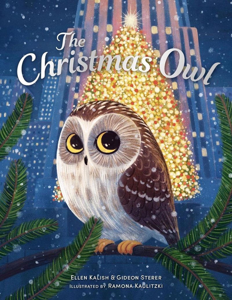 The Christmas Owl/Product Detail/Early Childhood Fiction Books