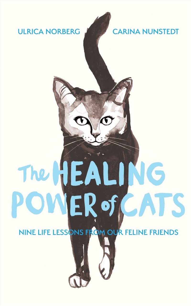The Healing Power of Cats : Nine Lessons from Our Feline Friends/Product Detail/Self Help & Personal Development