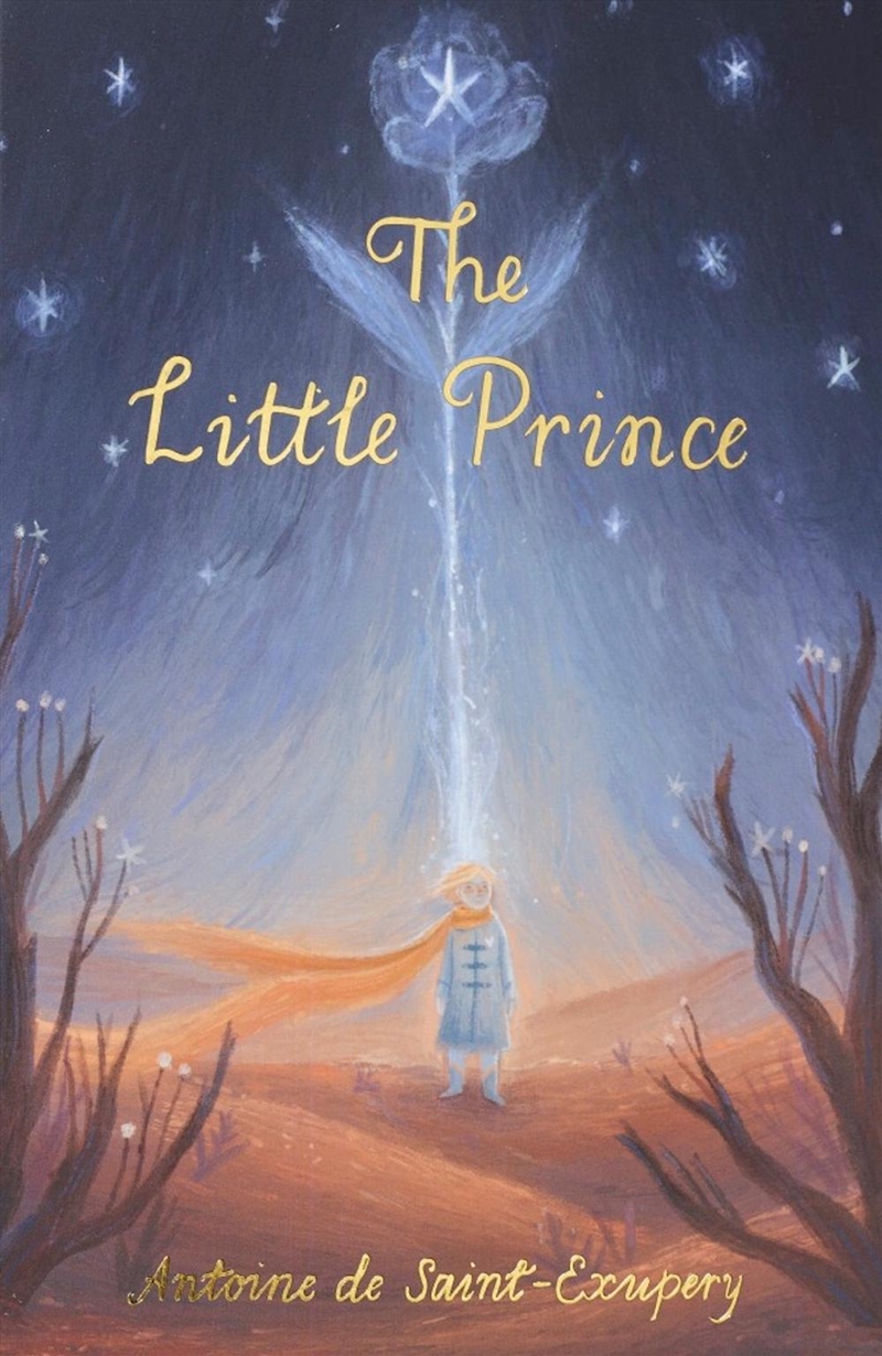 The Little Prince/Product Detail/Childrens Fiction Books