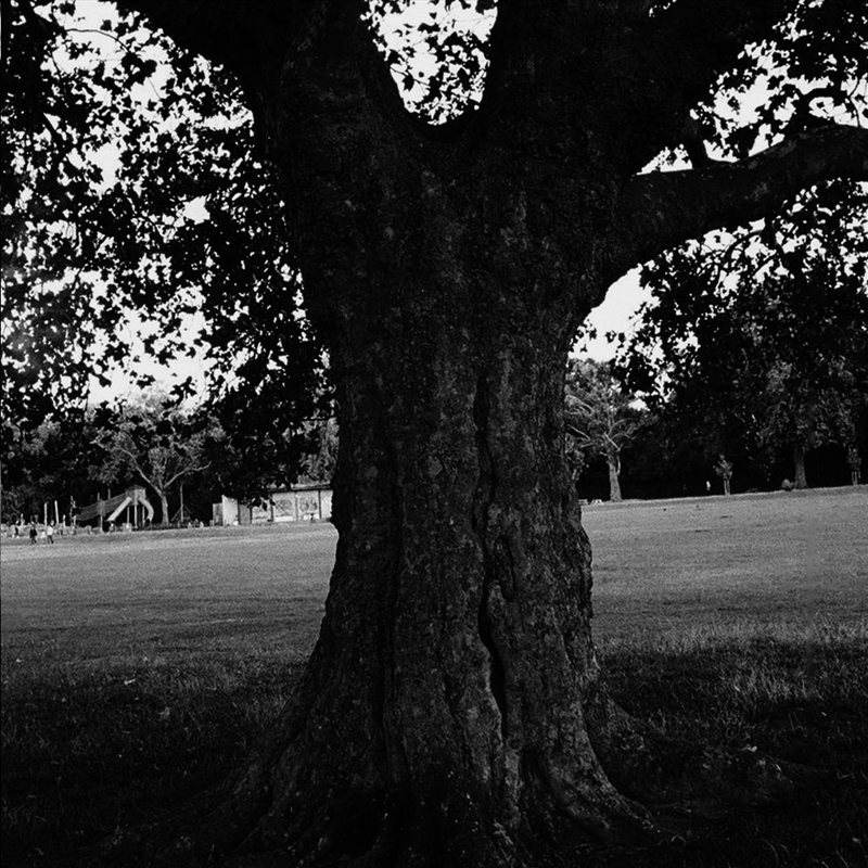 A New Place 2 Drown (Instrumentals)/Product Detail/Alternative