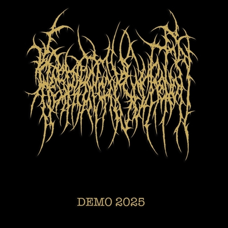 Demo 2025/Product Detail/Metal