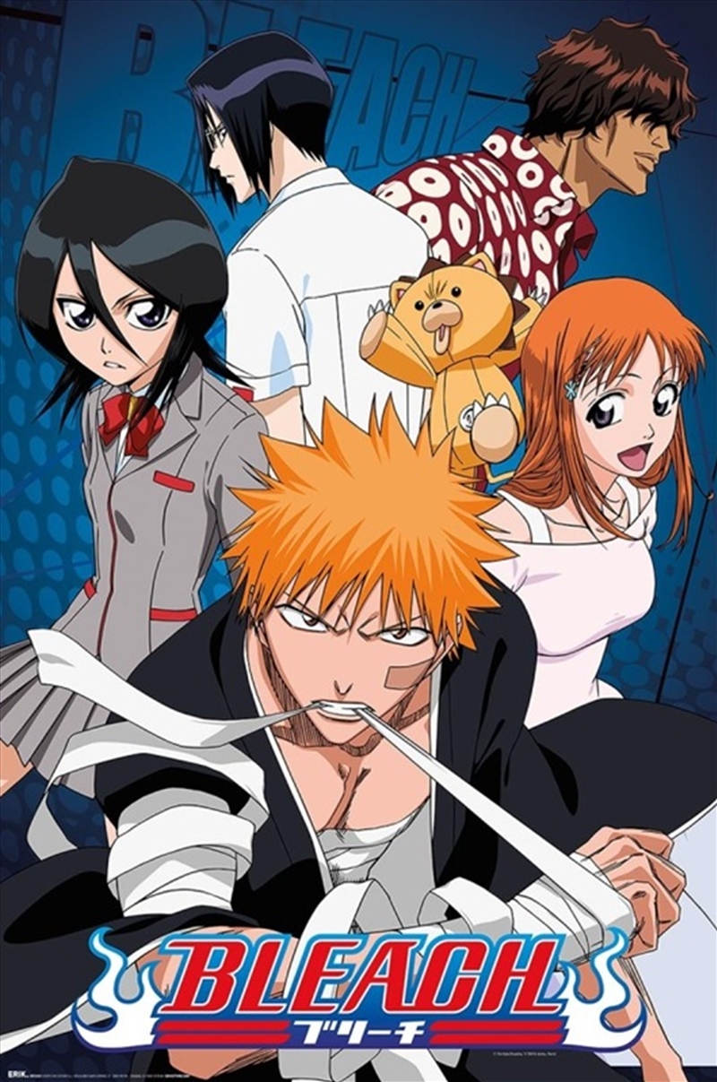 Bleach Characters/Product Detail/Posters & Prints