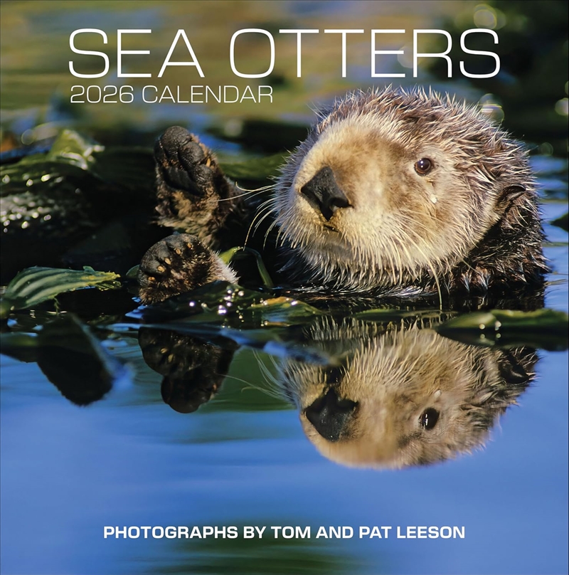Sea Otters Photographs By Tom/Product Detail/Calendars & Diaries