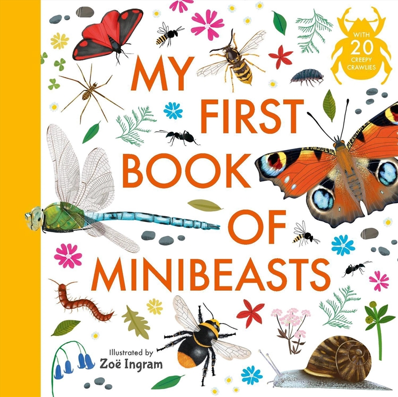 My First Book Of Minibeasts/Product Detail/Childrens