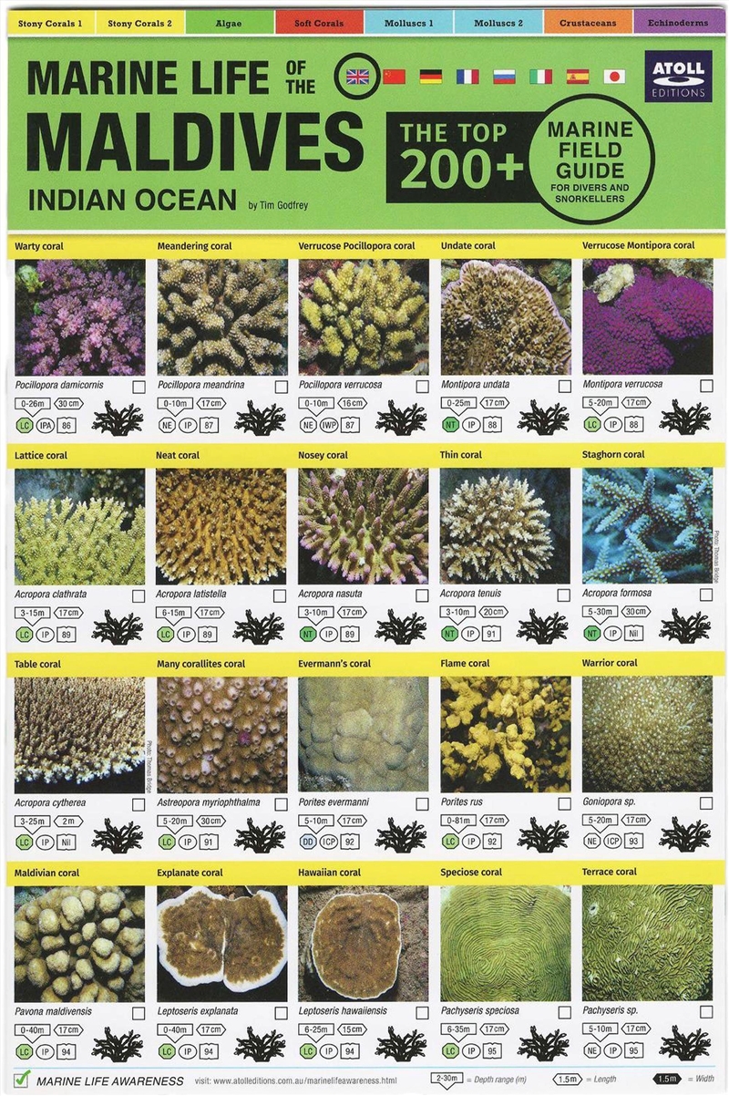 Maldives Marine Life Field Gui/Product Detail/Animals & Nature