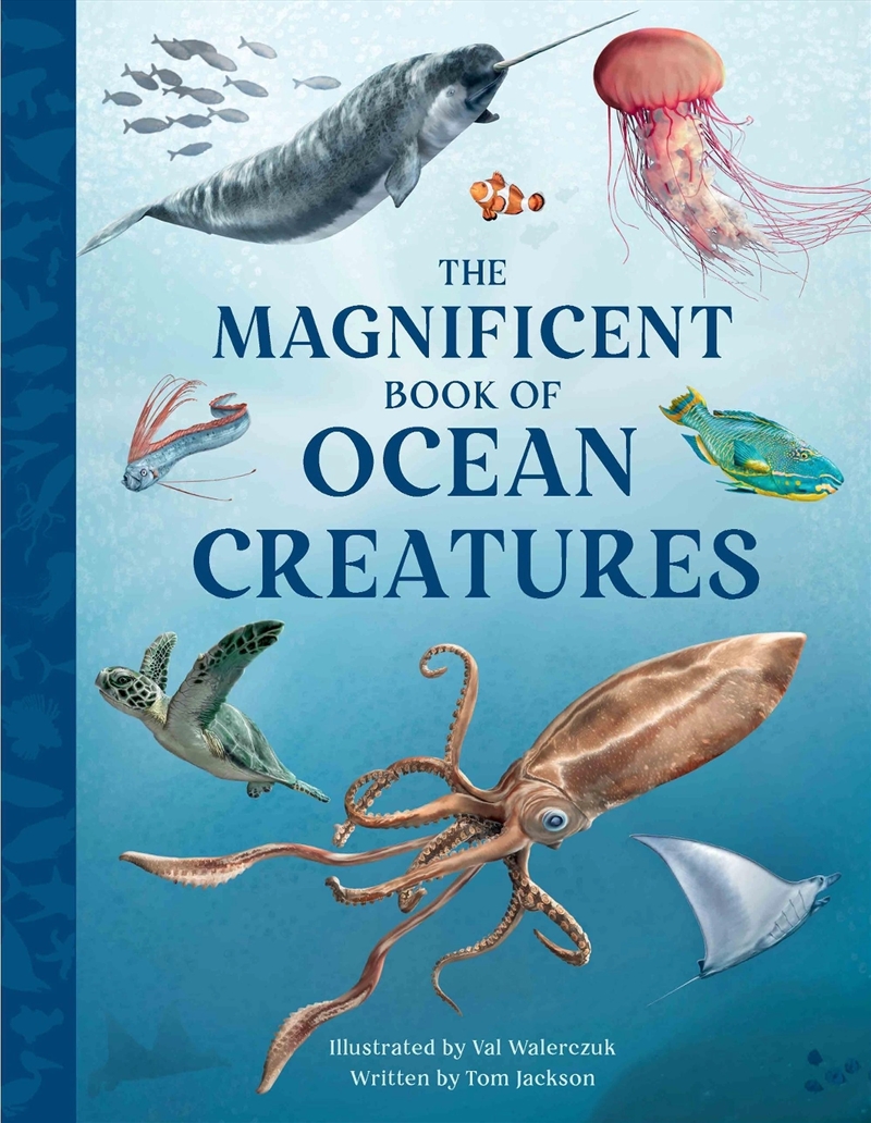 Magnificent Book Of Ocean Crea/Product Detail/Childrens